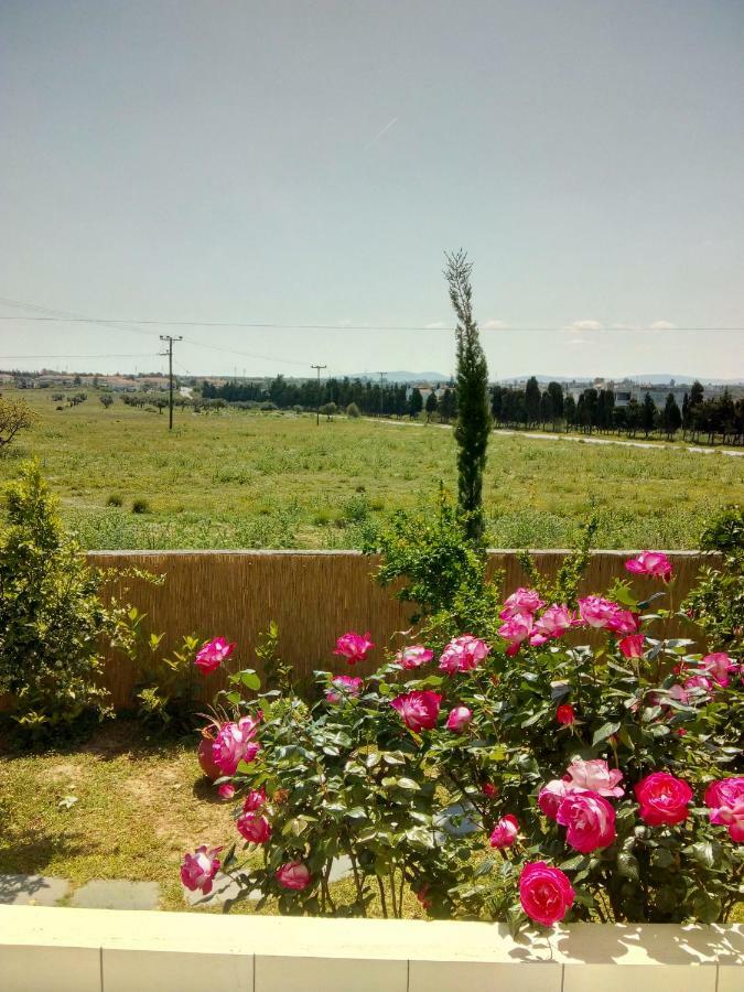 Studio Poseidonia Apartment 75Sqm Corinth Canal エクステリア 写真