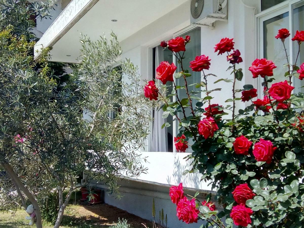 Studio Poseidonia Apartment 75Sqm Corinth Canal エクステリア 写真